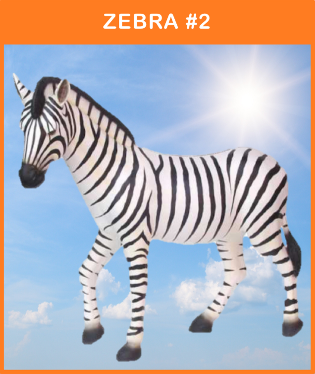 -
Zebra #1
Naturtro stående Zebra (naturlig størrelse)
Materiale: Glasfiber
Størrelse: 163 x 180 cm.