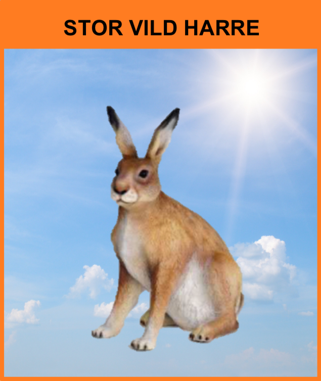 B 083 / A63
Stor Vild Harre
Størrelse: 60 cm.