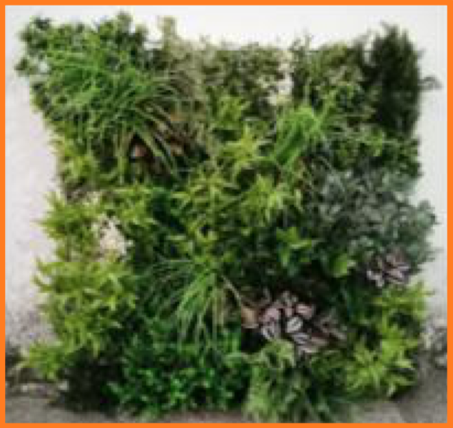 # 008
Planteramme m/ blandede planter
Størrelser: 1 x 1 meter, eller efter dine mål
*