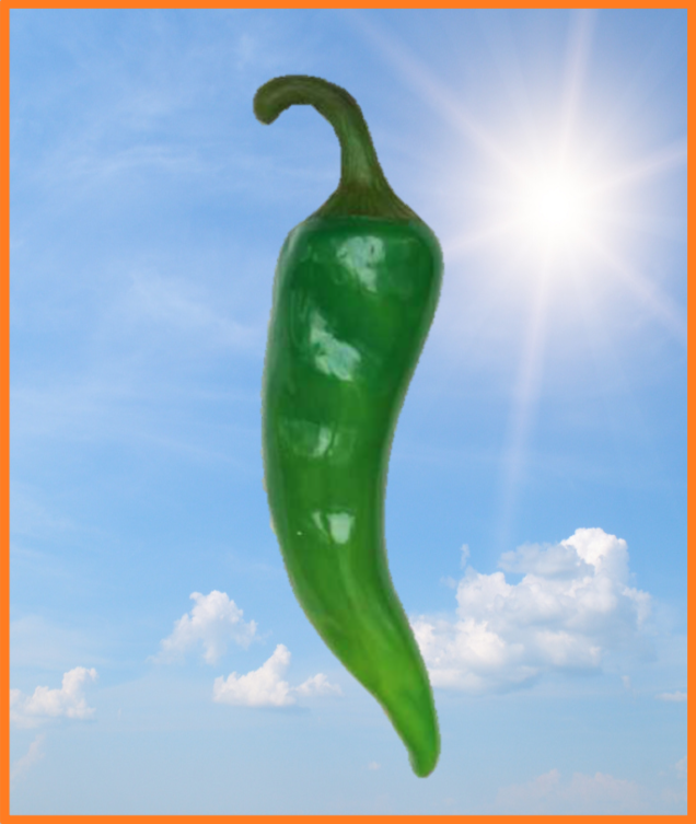 Kæmpe grøn Chilli
Materiale: Glasfiber
Størrelse: 60 cm.