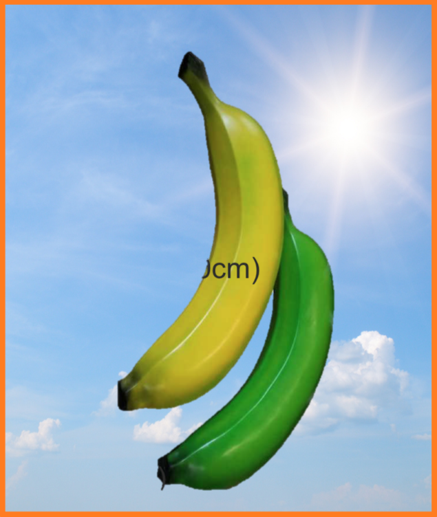 Kæmpe Banan
Materiale: Glasfiber
Størrelse: 150 cm.