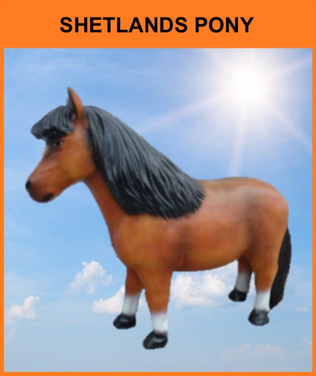 B 034 / A204
Shetlands Pony
Størrelse: 99 x 126 cm.