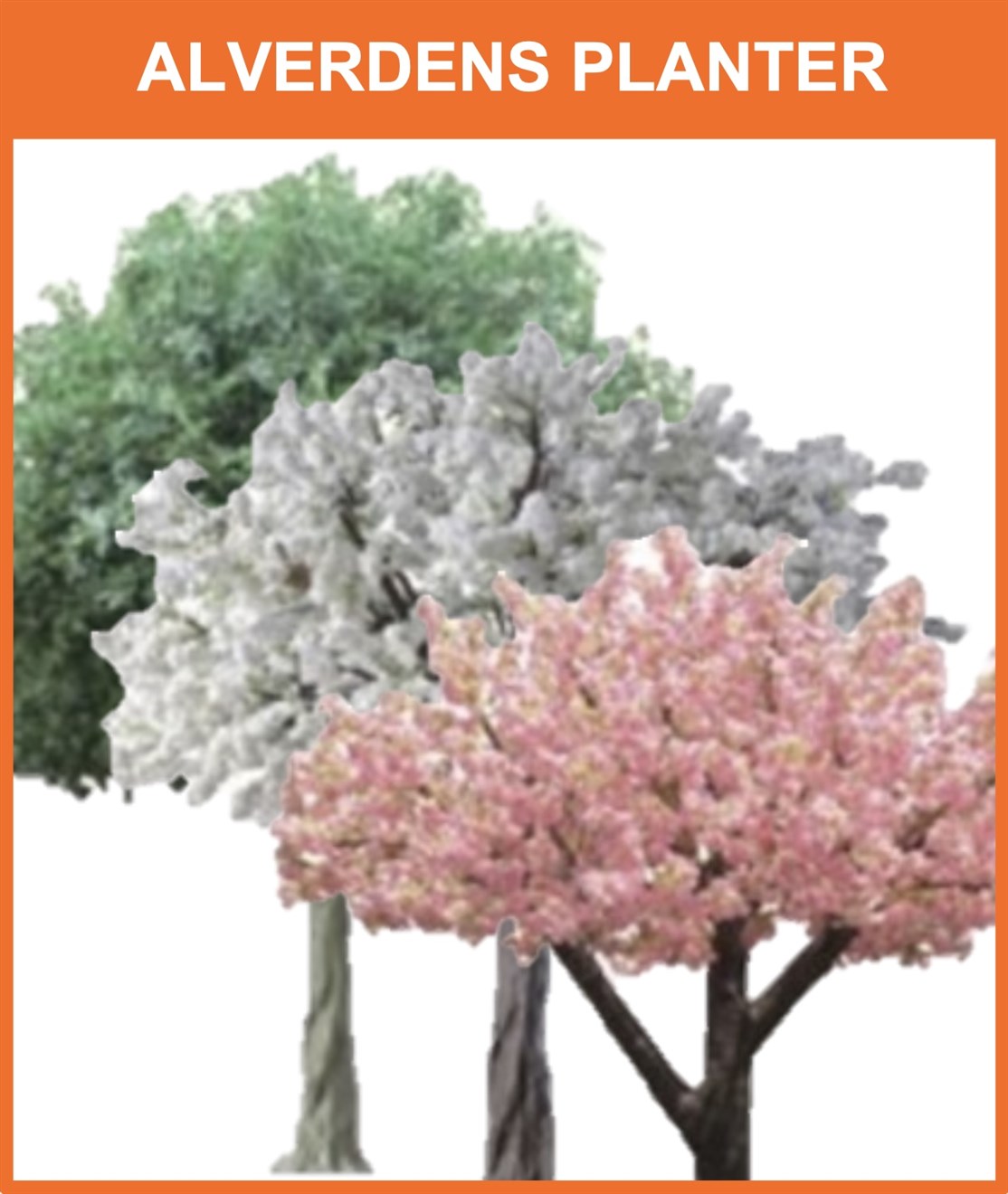 ALVERDENS PLANTER
Vi producere, sælger og udlejer et væld af træer, palmer, buske, blomster og plantevægge m.m. i et væld af størrelser til dekoration i restauranter, cafes, firmaer, hoteller, messer og udstillinger og meget, meget mere
*