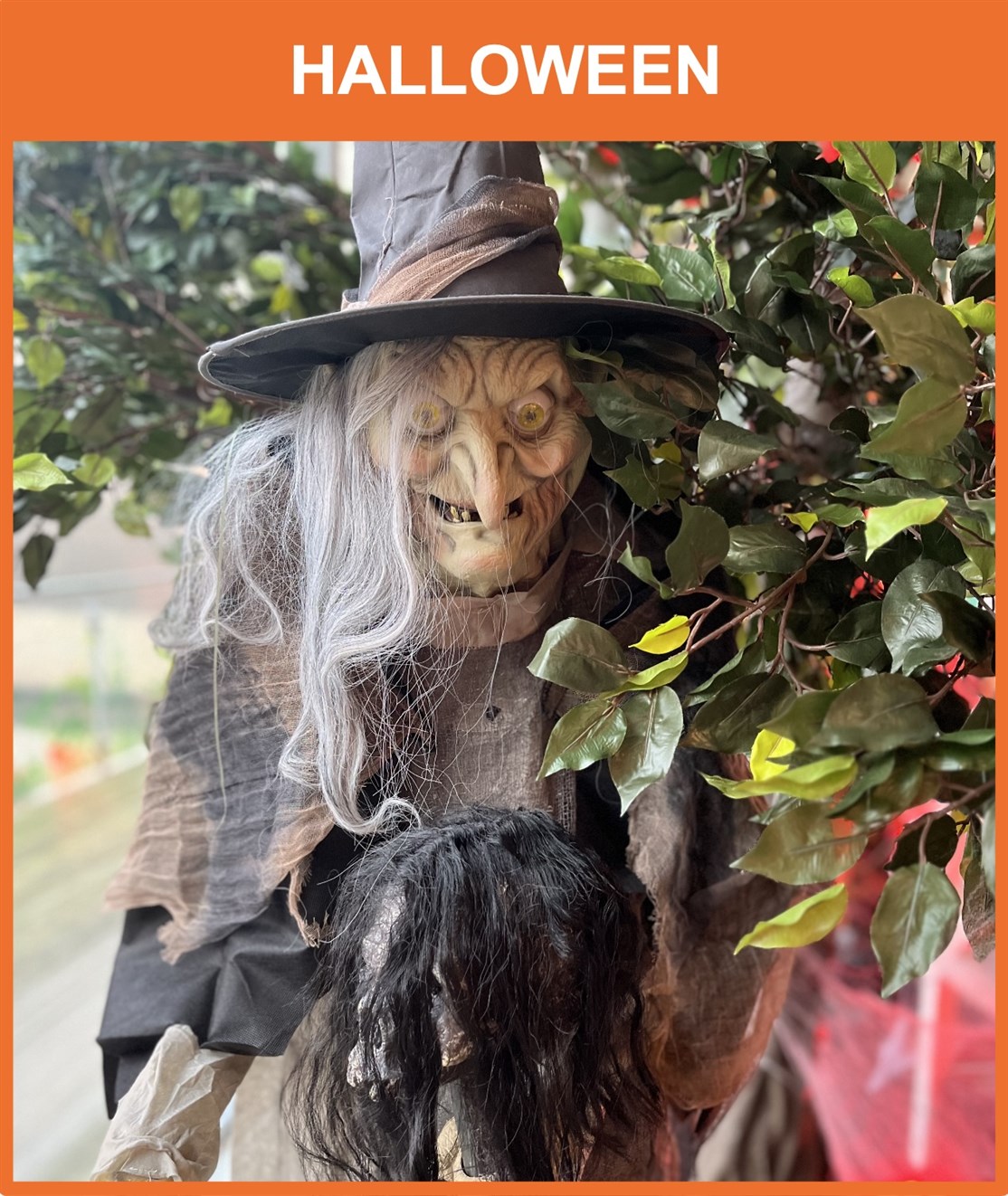 Halloween
Udstillinger, aktiviteter & workshops m.m.
*