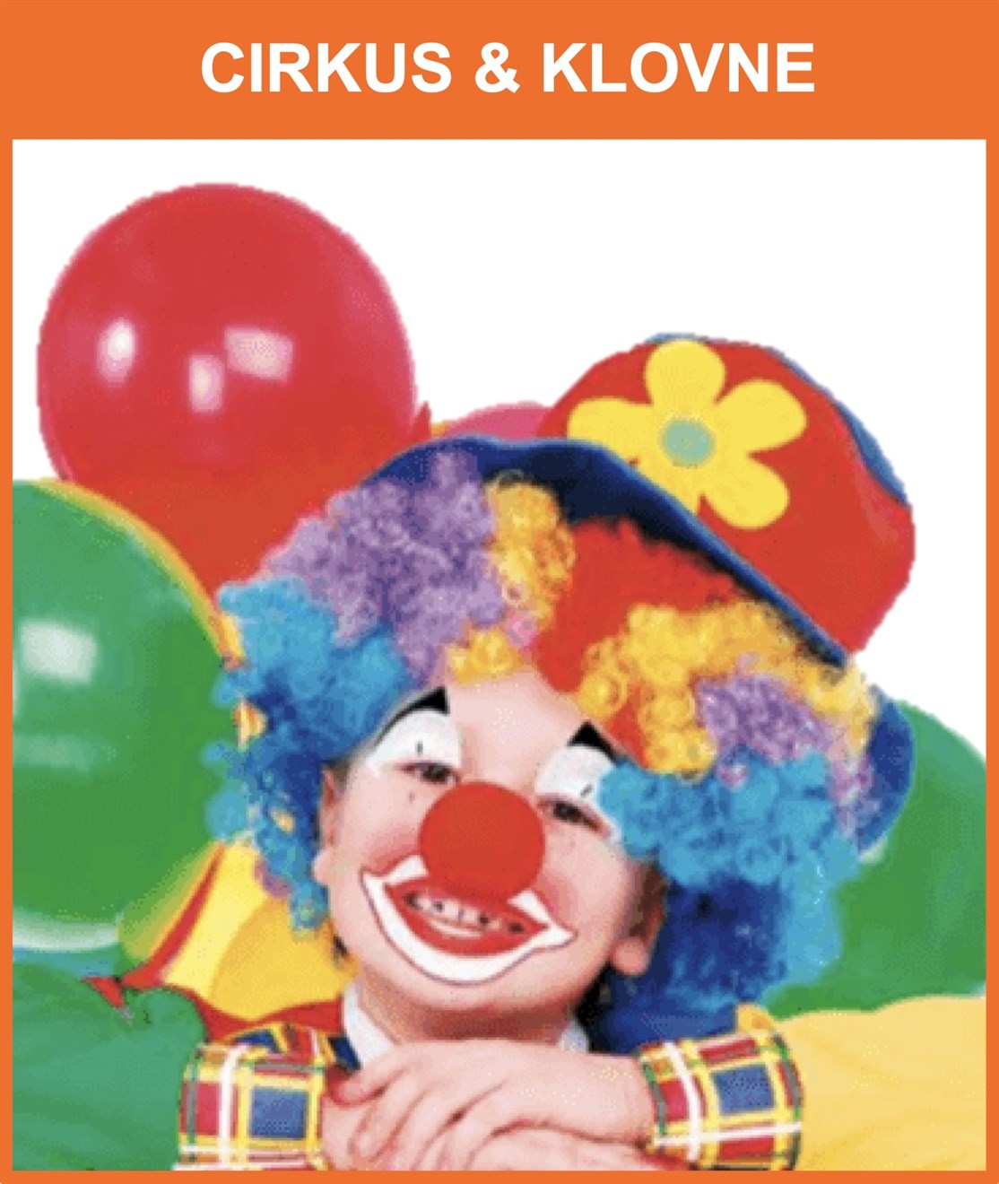CIRKUS & KLOVNE
Populært tema som sammensættes efter dine ønsker med alt fra dekoration til cirkus skole og mange forskellige aktiviteter og shows som tilpasses temaet og dine behov
*