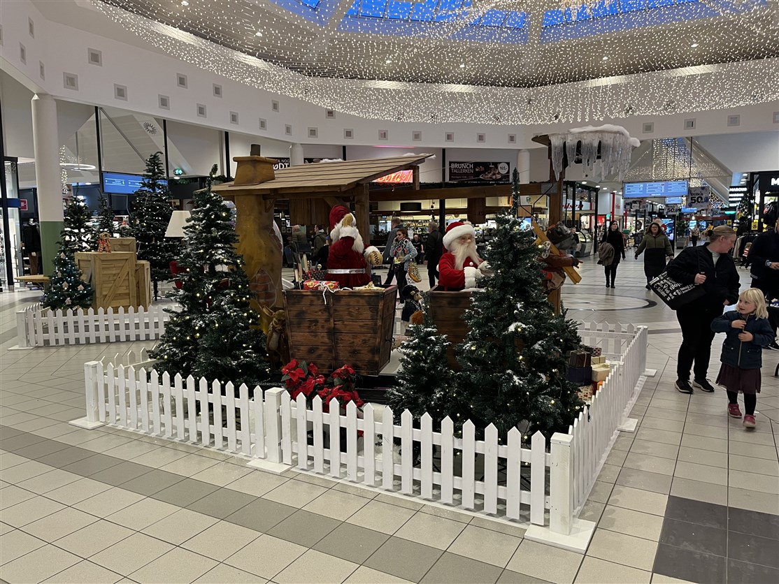 Juleudstilling m/ masser af sne, dyr & skagens hegn
*