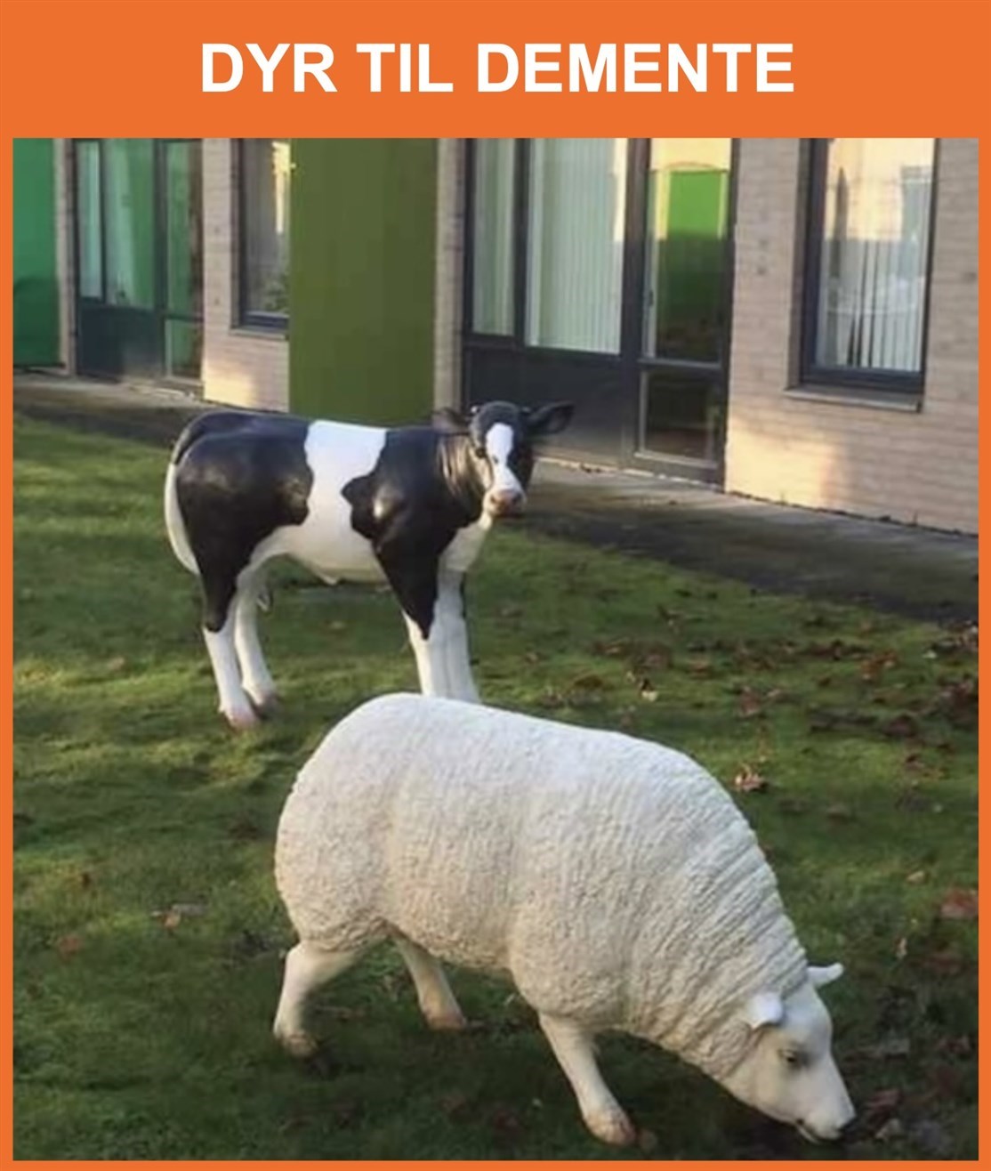 Dyr til demente
Klik på billede og se mere
*