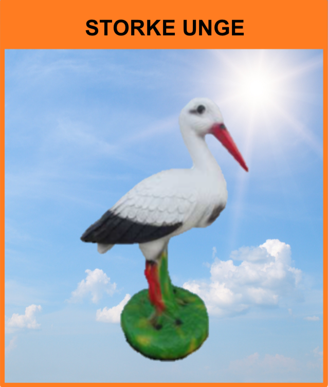 B 088 / A12
Storke Unge
Størrelse: 38 cm.