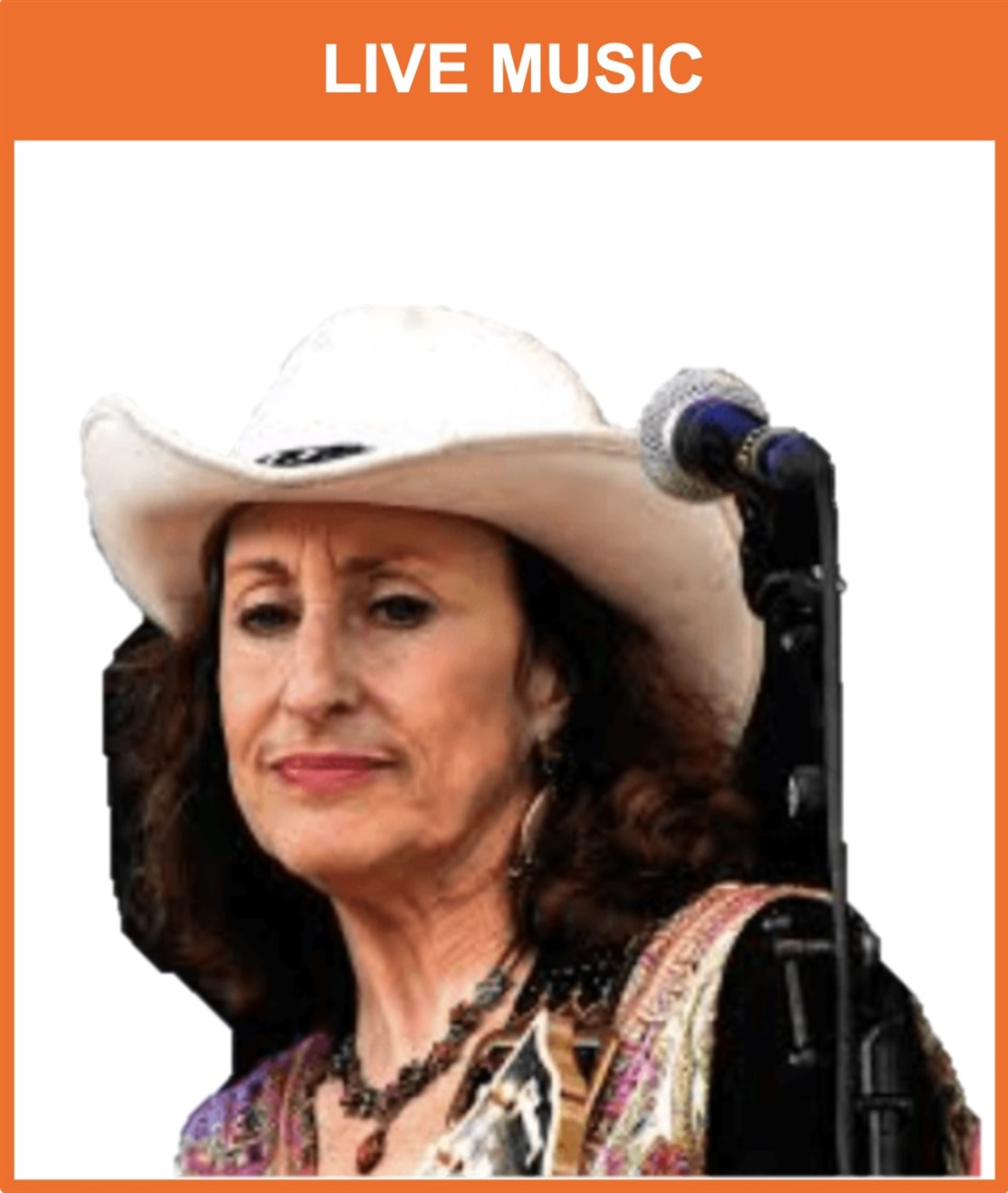 Book live country & western musik, bands og solister m.m. til din country fest
*