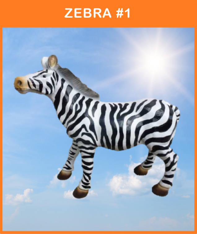 -
Zebra #1
Stående Zebra med løftet mule
Materiale: Glasfiber
Størrelse: 68 x 70 cm.