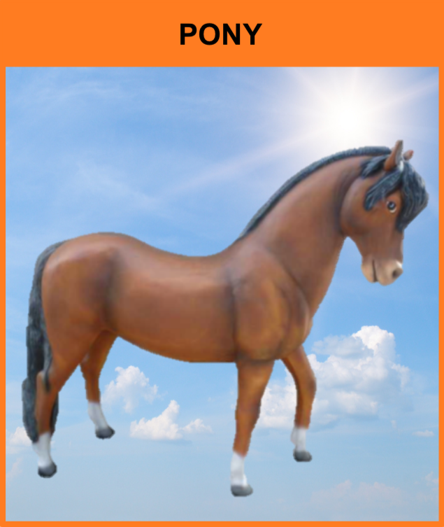 B 033 / A341
Pony
Størrelse: 140 x 160 cm.