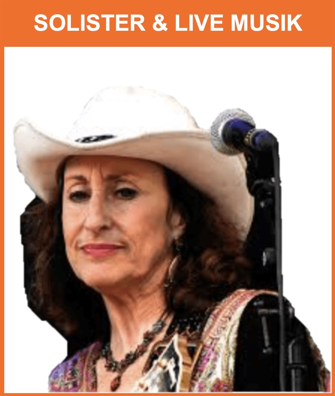 Book country & western musik, bands og solister m.m. til din country fest.
*