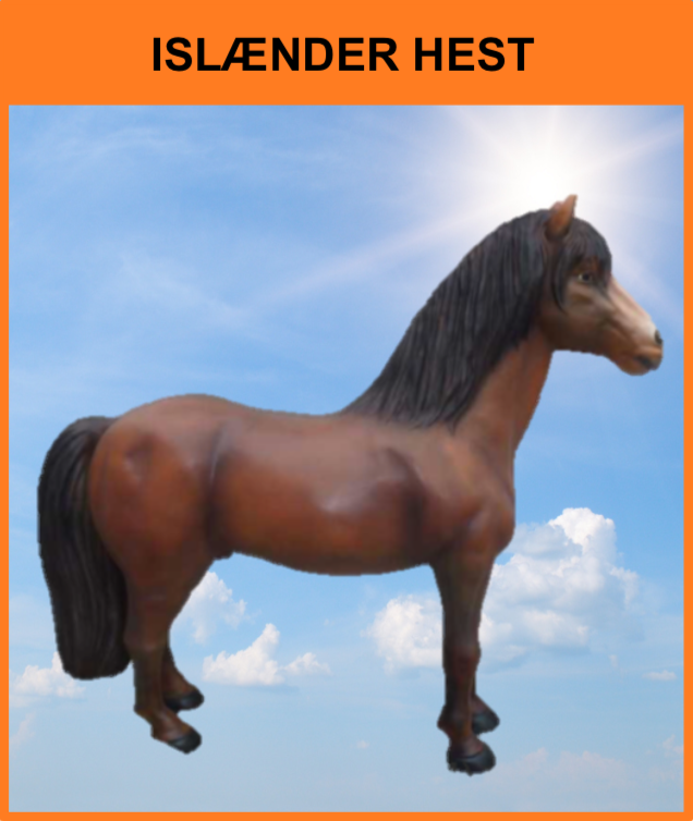 B 032 / A312
Islænder Hest
Størrelse: 186 x 215 cm.