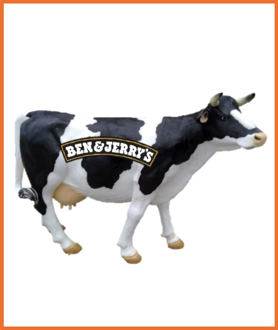 Naturtro Ko med firma logo produceret til
BEN & JERRY´S ICECREAM
*